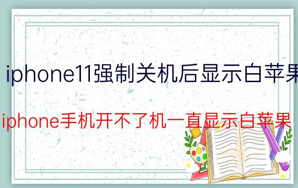 iphone11强制关机后显示白苹果 iphone手机开不了机一直显示白苹果？